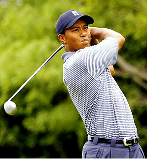 � As Histórias de Tiger Woods